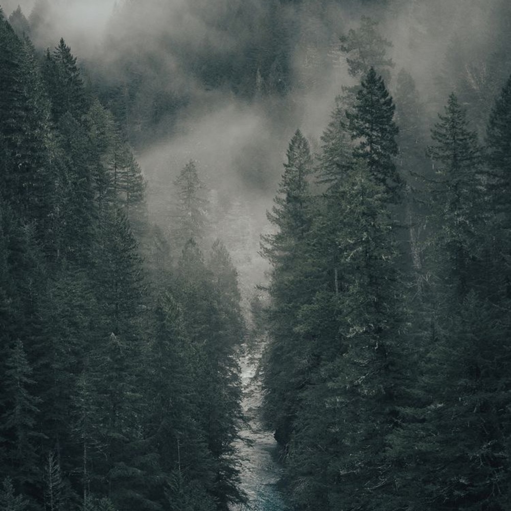 Meet your Posher, Lex